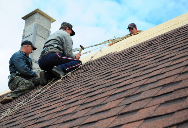 Best Gutter Installation and Roofing  in Oak Hill, WV
